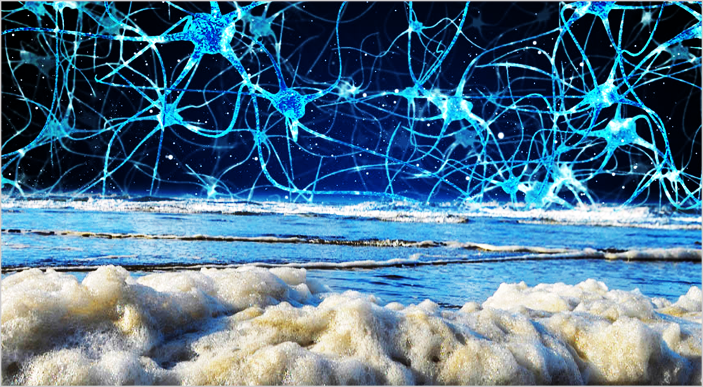 Sea foam on the shore with neurons in the sky